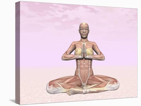 Female Musculature Performing Meditation Yoga Pose-null-Stretched Canvas