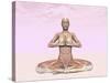 Female Musculature Performing Meditation Yoga Pose-null-Stretched Canvas