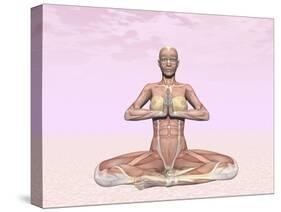 Female Musculature Performing Meditation Yoga Pose-null-Stretched Canvas