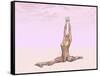 Female Musculature Performing Monkey Yoga Pose-null-Framed Stretched Canvas