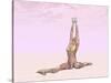 Female Musculature Performing Monkey Yoga Pose-null-Stretched Canvas