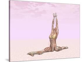 Female Musculature Performing Monkey Yoga Pose-null-Stretched Canvas