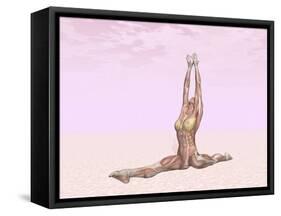 Female Musculature Performing Monkey Yoga Pose-null-Framed Stretched Canvas