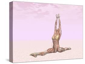 Female Musculature Performing Monkey Yoga Pose-null-Stretched Canvas