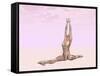 Female Musculature Performing Monkey Yoga Pose-null-Framed Stretched Canvas