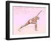 Female Musculature Performing Revolved Side Angle Yoga Pose-null-Framed Art Print