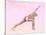 Female Musculature Performing Revolved Side Angle Yoga Pose-null-Stretched Canvas