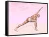 Female Musculature Performing Revolved Side Angle Yoga Pose-null-Framed Stretched Canvas