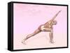 Female Musculature Performing Revolved Side Angle Yoga Pose-null-Framed Stretched Canvas