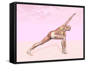 Female Musculature Performing Revolved Side Angle Yoga Pose-null-Framed Stretched Canvas