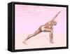 Female Musculature Performing Revolved Side Angle Yoga Pose-null-Framed Stretched Canvas