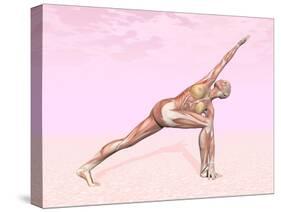 Female Musculature Performing Revolved Side Angle Yoga Pose-null-Stretched Canvas