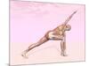 Female Musculature Performing Revolved Side Angle Yoga Pose-null-Mounted Art Print