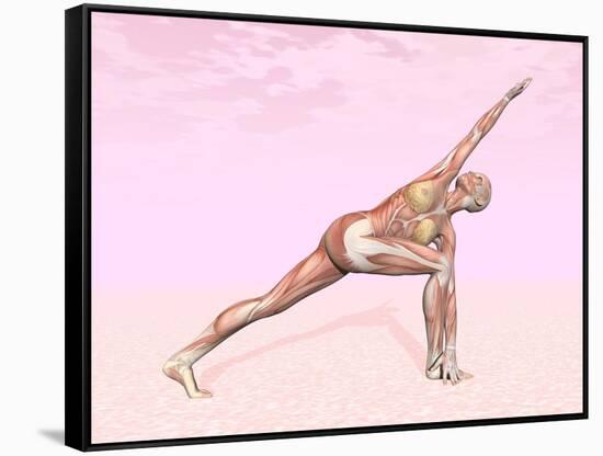 Female Musculature Performing Revolved Side Angle Yoga Pose-null-Framed Stretched Canvas