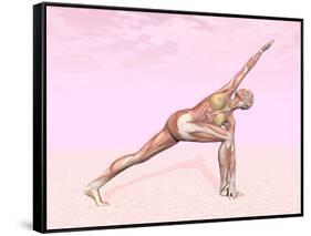 Female Musculature Performing Revolved Side Angle Yoga Pose-null-Framed Stretched Canvas