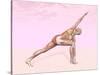 Female Musculature Performing Revolved Side Angle Yoga Pose-null-Stretched Canvas