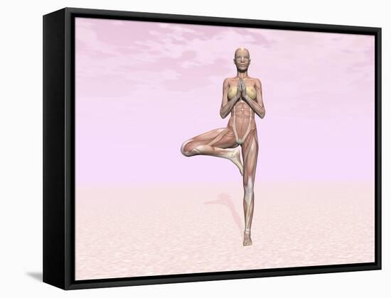 Female Musculature Performing Tree Yoga Pose-null-Framed Stretched Canvas