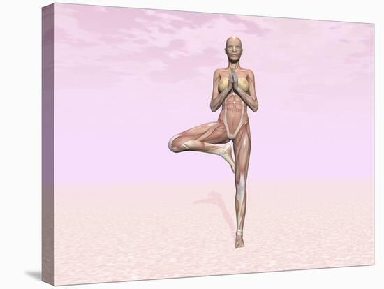 Female Musculature Performing Tree Yoga Pose-null-Stretched Canvas