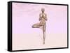 Female Musculature Performing Tree Yoga Pose-null-Framed Stretched Canvas