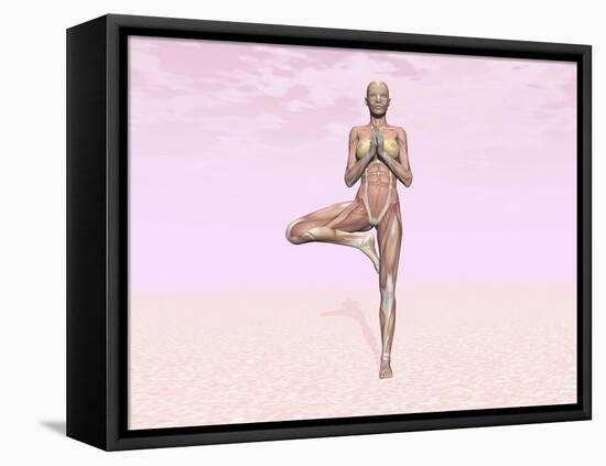 Female Musculature Performing Tree Yoga Pose-null-Framed Stretched Canvas