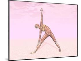 Female Musculature Performing Triangle Yoga Pose-null-Mounted Art Print