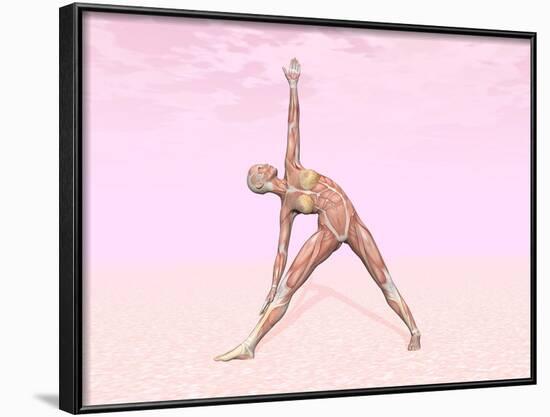 Female Musculature Performing Triangle Yoga Pose-null-Framed Art Print