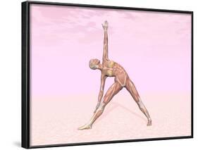 Female Musculature Performing Triangle Yoga Pose-null-Framed Art Print