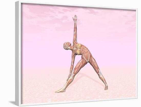 Female Musculature Performing Triangle Yoga Pose-null-Framed Art Print