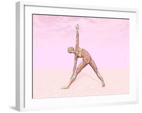 Female Musculature Performing Triangle Yoga Pose-null-Framed Art Print