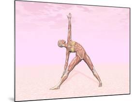 Female Musculature Performing Triangle Yoga Pose-null-Mounted Art Print