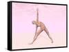 Female Musculature Performing Triangle Yoga Pose-null-Framed Stretched Canvas