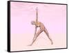 Female Musculature Performing Triangle Yoga Pose-null-Framed Stretched Canvas