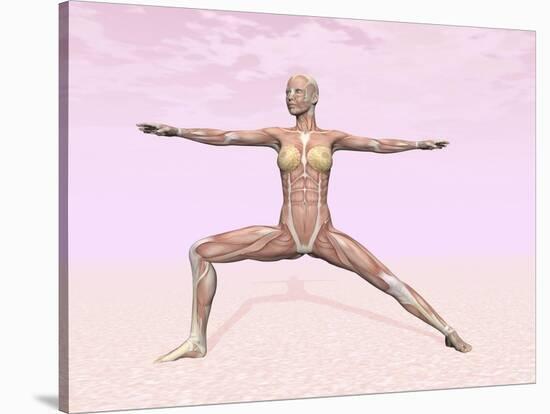 Female Musculature Performing Warrior Yoga Pose-null-Stretched Canvas