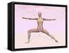 Female Musculature Performing Warrior Yoga Pose-null-Framed Stretched Canvas