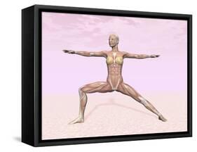 Female Musculature Performing Warrior Yoga Pose-null-Framed Stretched Canvas