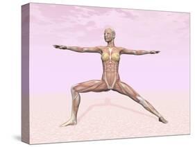 Female Musculature Performing Warrior Yoga Pose-null-Stretched Canvas