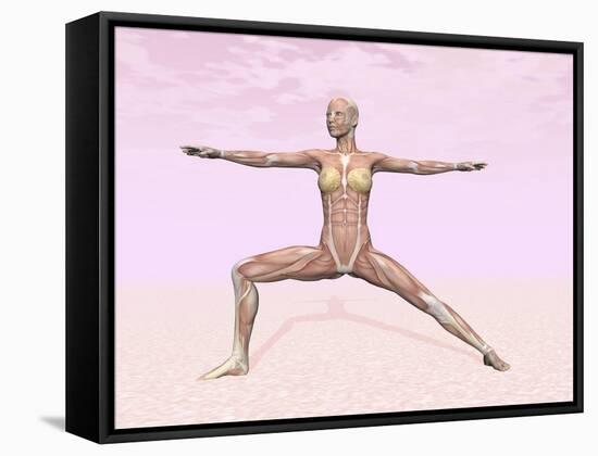 Female Musculature Performing Warrior Yoga Pose-null-Framed Stretched Canvas