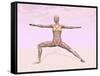 Female Musculature Performing Warrior Yoga Pose-null-Framed Stretched Canvas