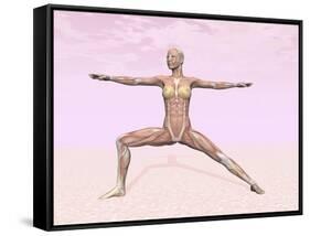 Female Musculature Performing Warrior Yoga Pose-null-Framed Stretched Canvas