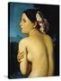 Female Nude, 1807-Jean-Auguste-Dominique Ingres-Stretched Canvas