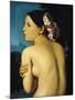 Female Nude, 1807-Jean-Auguste-Dominique Ingres-Mounted Giclee Print