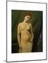 Female Nude, Green Curtain-Félix Vallotton-Mounted Giclee Print
