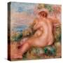 Female Nude in a Landscape, 1915-Pierre-Auguste Renoir-Stretched Canvas