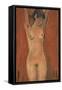 Female Nude on a Brown Background-Otto Muller or Mueller-Framed Stretched Canvas