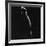 Female Nude Study-Gjon Mili-Framed Photographic Print