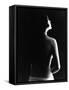 Female Nude-null-Framed Stretched Canvas