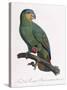 Female of the Douro-Couraou Parrot-Jacques Barraband-Stretched Canvas