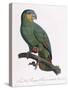 Female of the Douro-Couraou Parrot-Jacques Barraband-Stretched Canvas