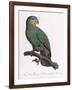 Female of the Douro-Couraou Parrot-Jacques Barraband-Framed Giclee Print