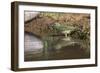 Female Painted bunting bathing. Rio Grande Valley, Texas-Adam Jones-Framed Photographic Print